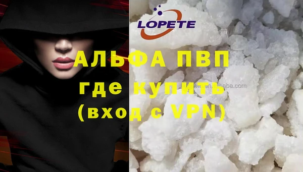 прущие грибы Пролетарск