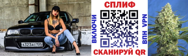 наркота Жуков Марихуана тримм